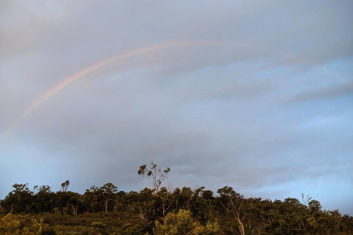Rainbow over Wandoo Woodland in Korung National Park