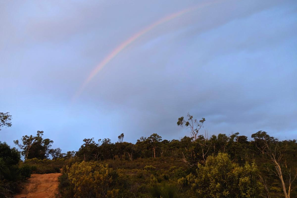 Rainbow over the Lions Lookout Walk Trail in Korung National Park