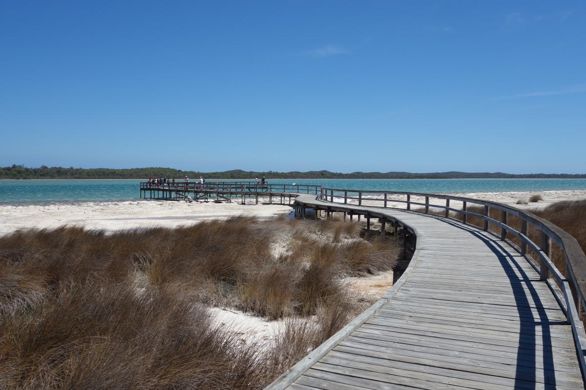 A group of people look at the thrombolites at Lake Clifton from the end of a curving boardwalk.