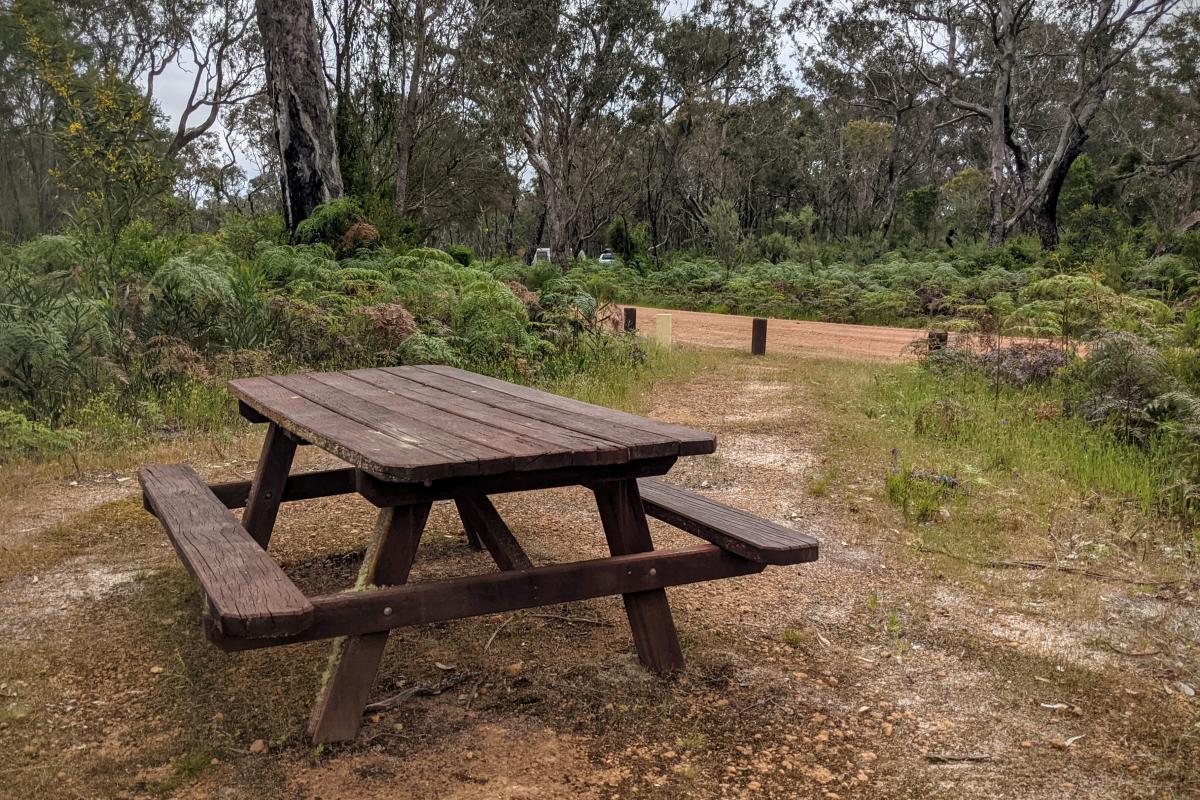 Picnic bench in a clearing at Lake Muir Observatory
