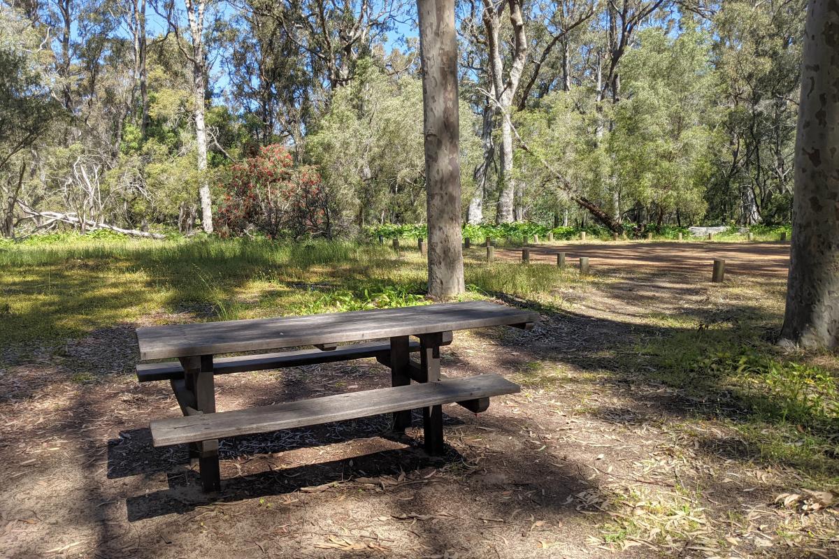 Picnic bench at Layman Picnic Site Picnic bench at Layman Picnic Site