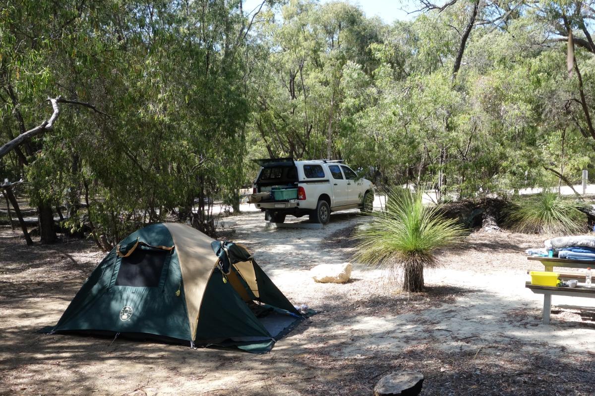 A small tent is located by a picnic table away from the road and vehicle parking.