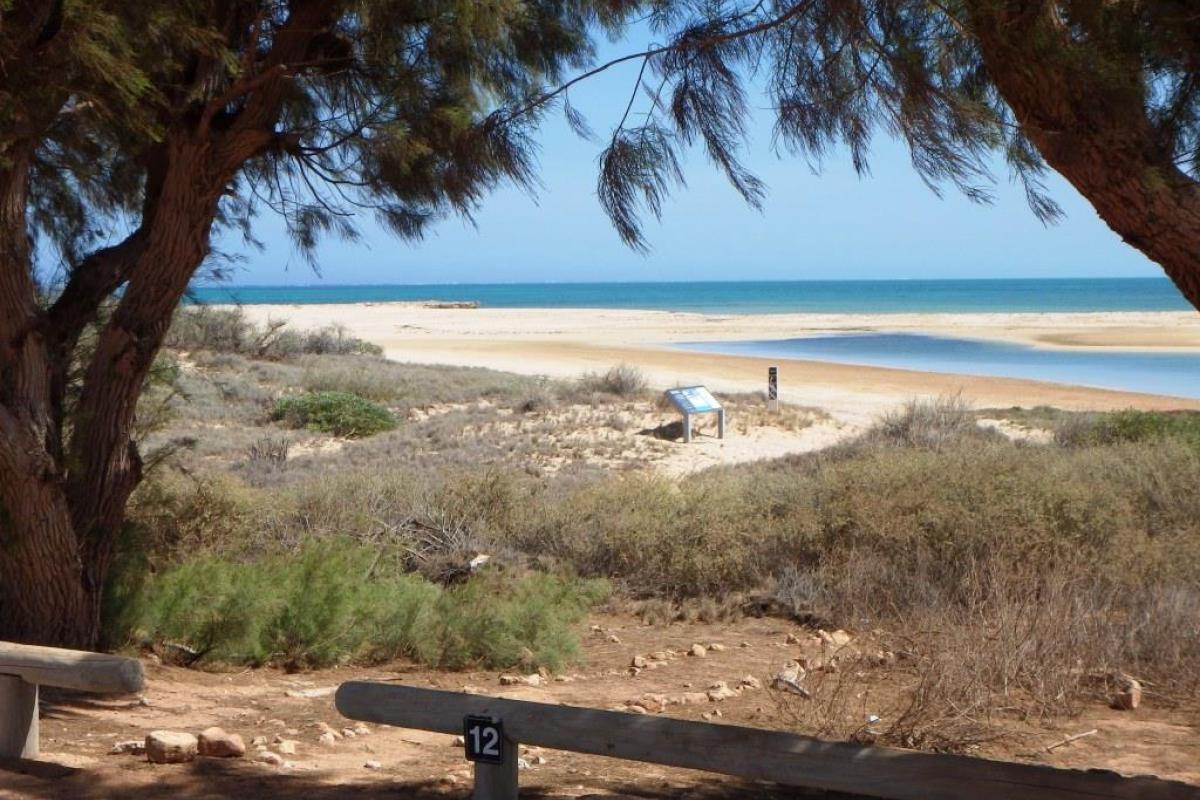 view of the beach from a campsite at Mesa