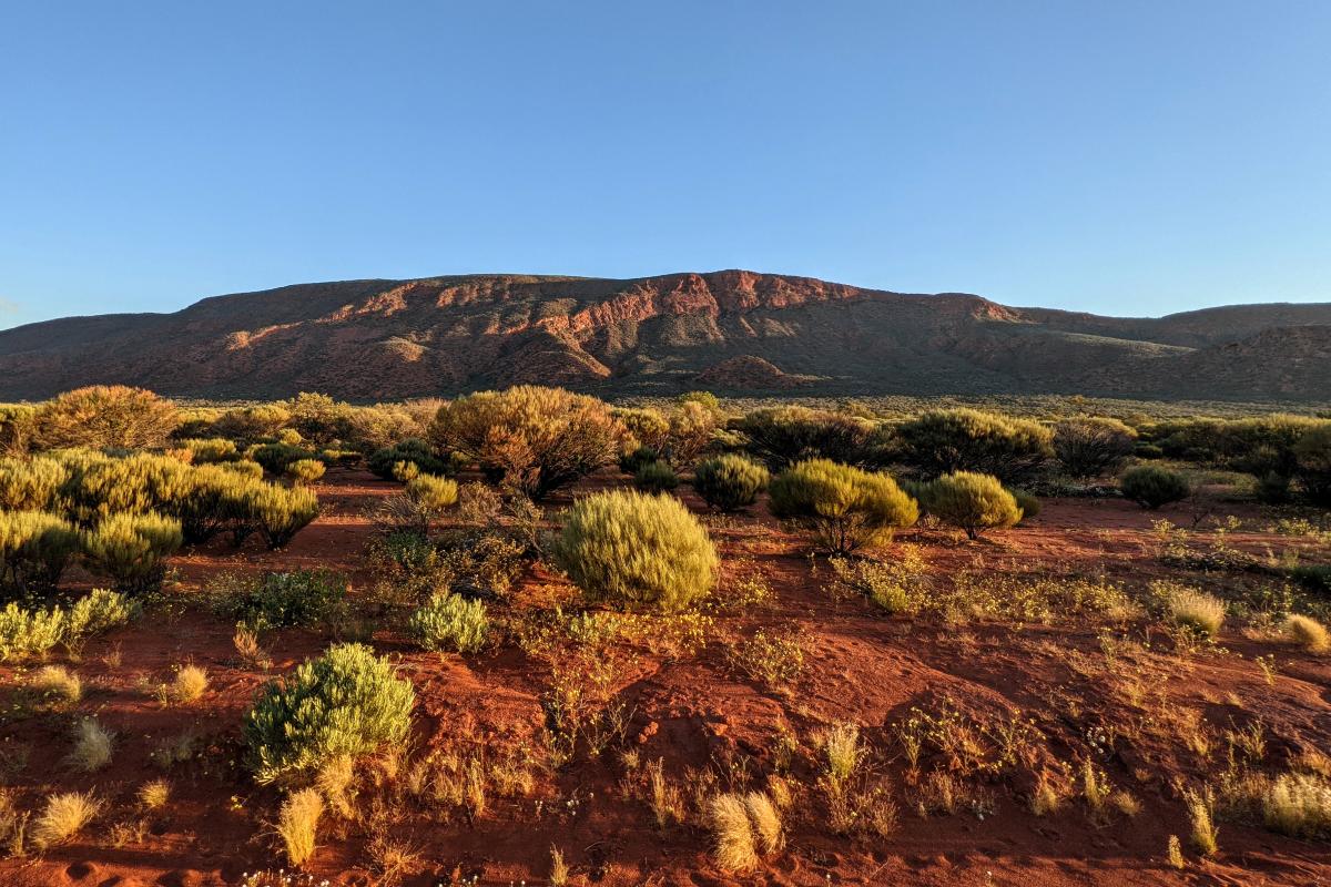 Mount Augustus