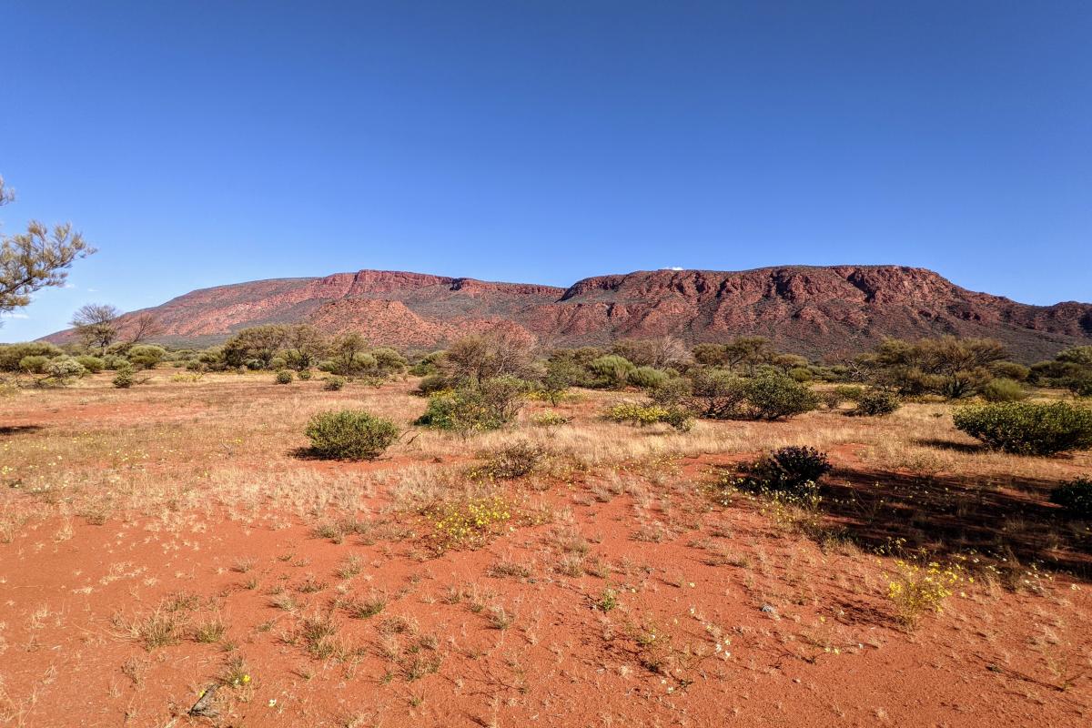 Mount Augustus Mount Augustus