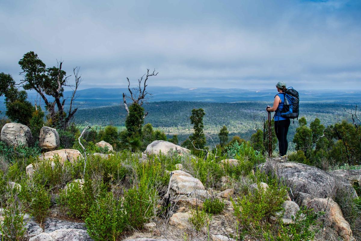 Mount Vincent, Bibbulmun Track