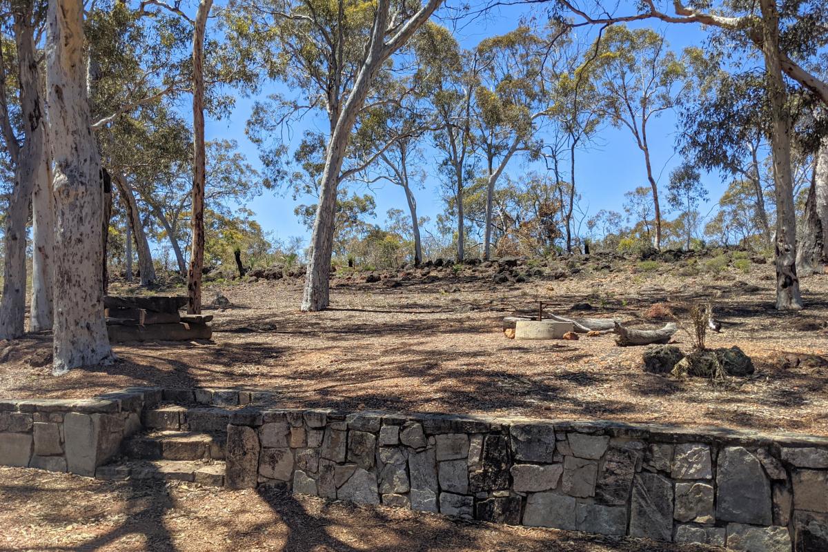 Picnic bench and fire ring at Mount Observation