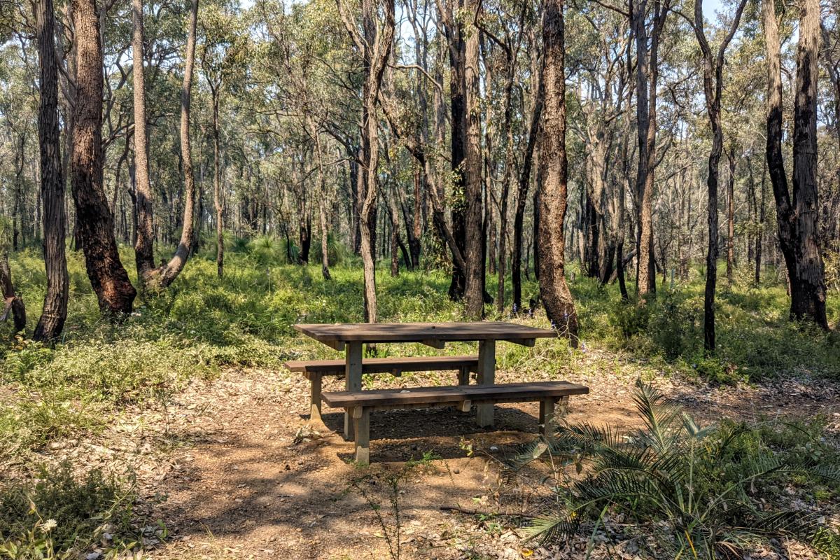 Picnic bench at Pimelea Mycumbene