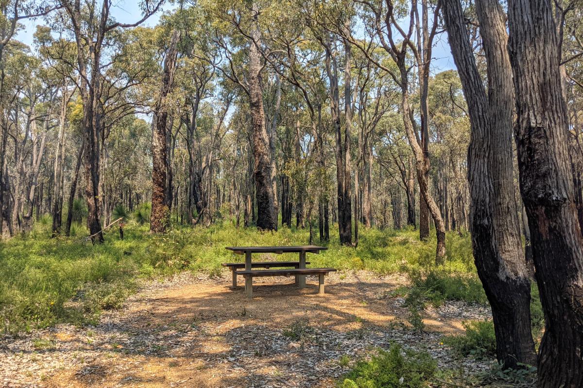 Picnic bench at Pimelea Mycumbene