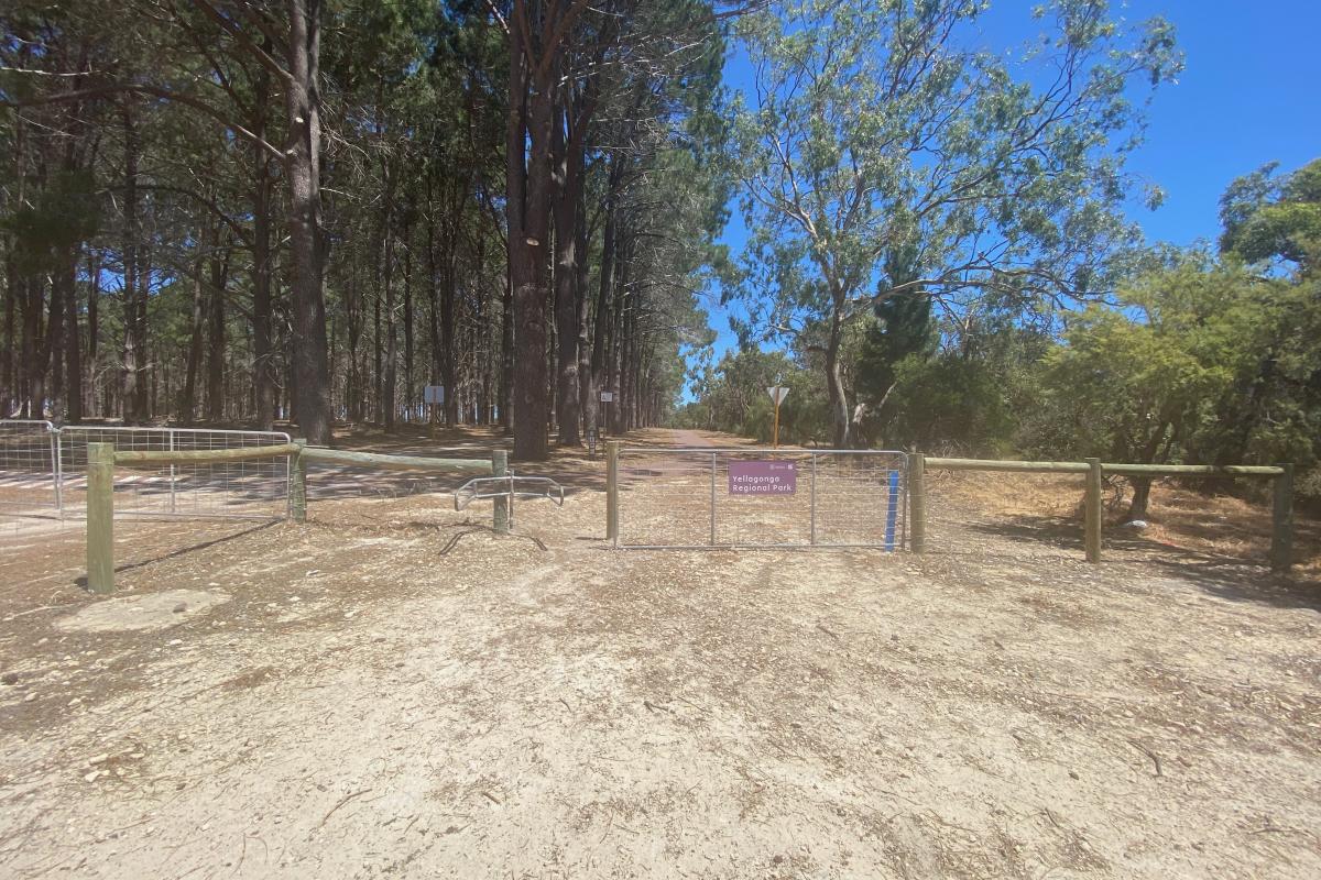 The Pines turnstyle to access bitumen track in pine plantation