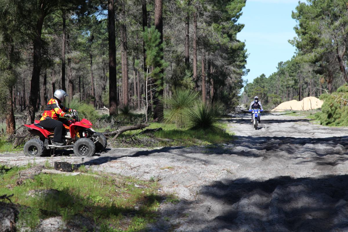 a quad rider checking for oncoming motorcycles