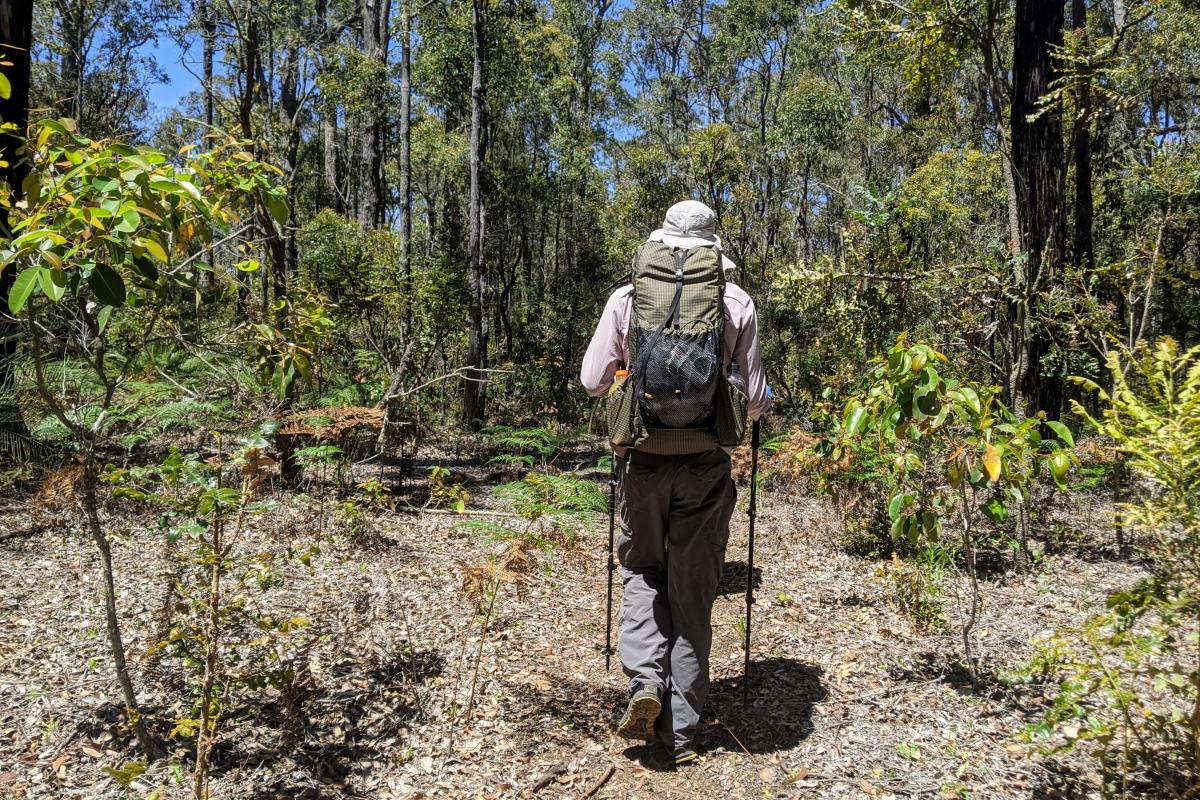 Walking through Preston National Park on the Bibbulmun Track