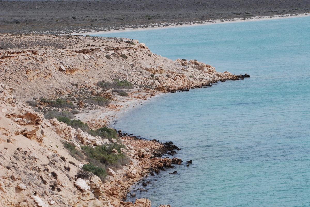 Quoin Bluff South - Dirk Hartog Island National Park Jagged rocky coastline of Dirk hartog Island