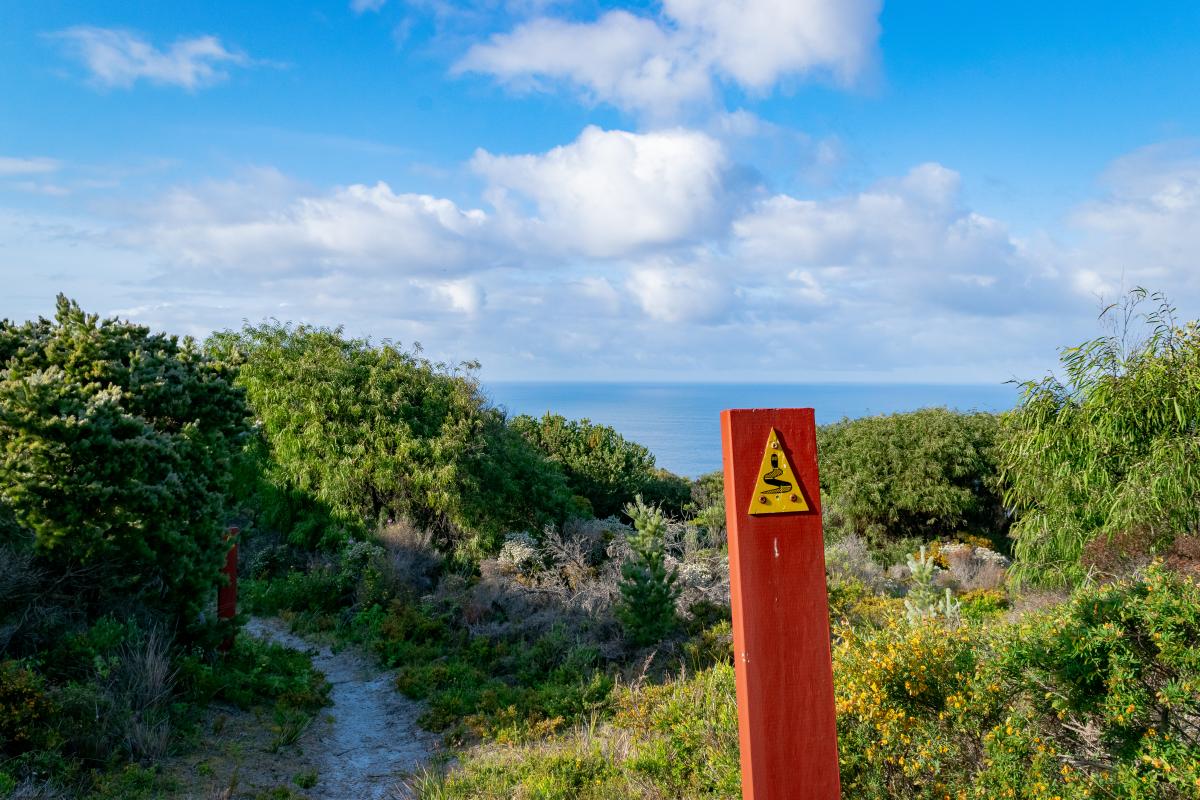 Sandpatch, Bibbulmun Track