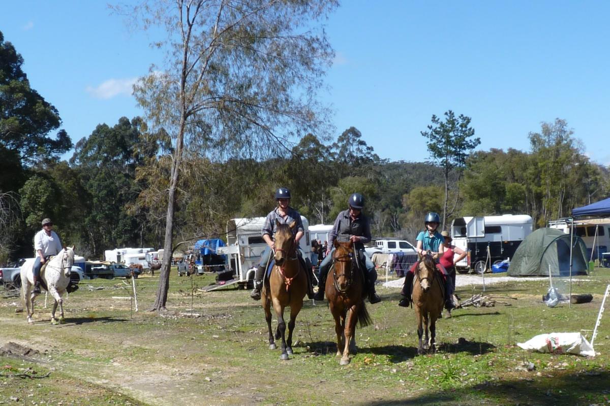 People riding horse near horse trailers in a cleared area. 