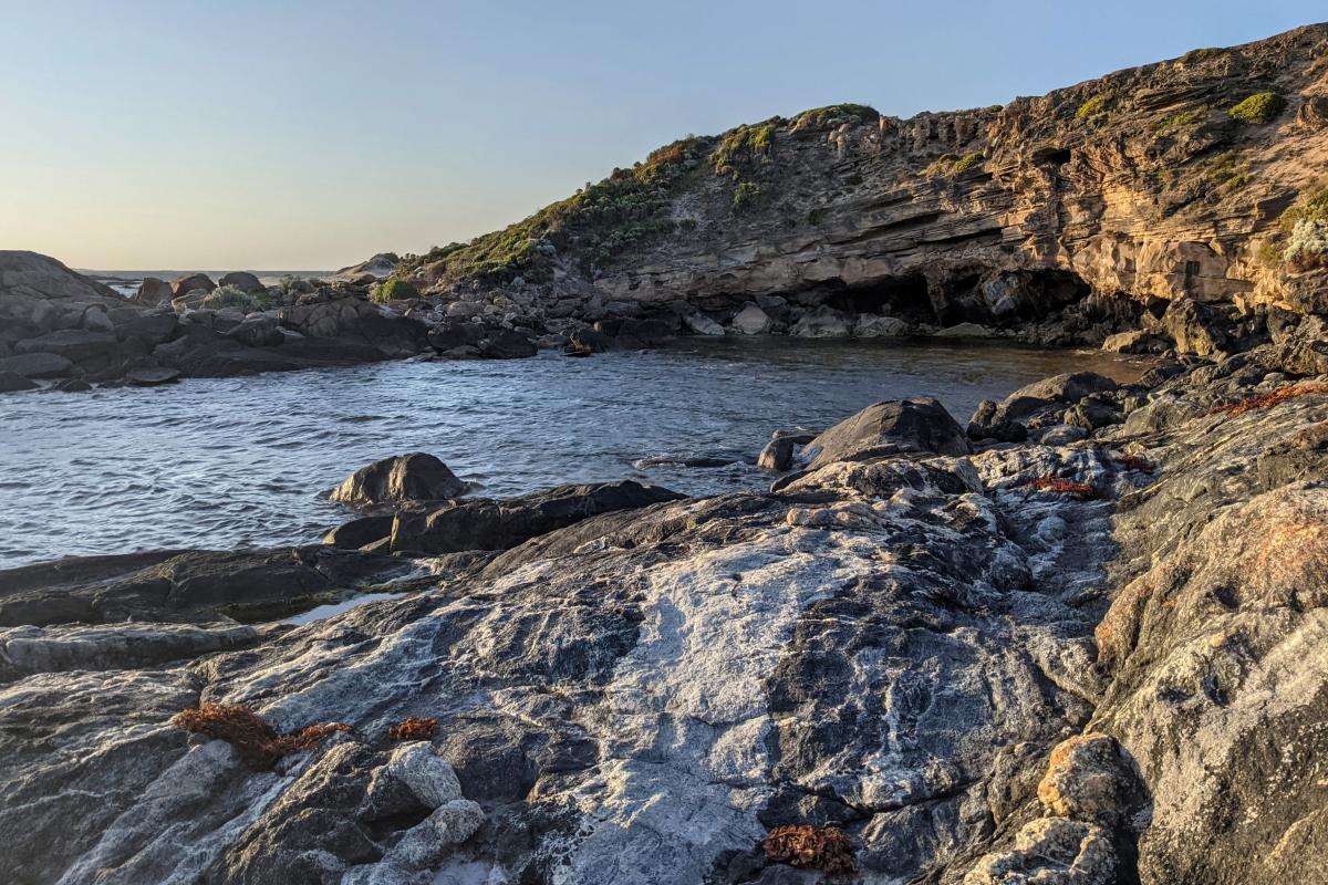 Rocky shoreline near Skippy Rock Rocky shoreline near Skippy Rock