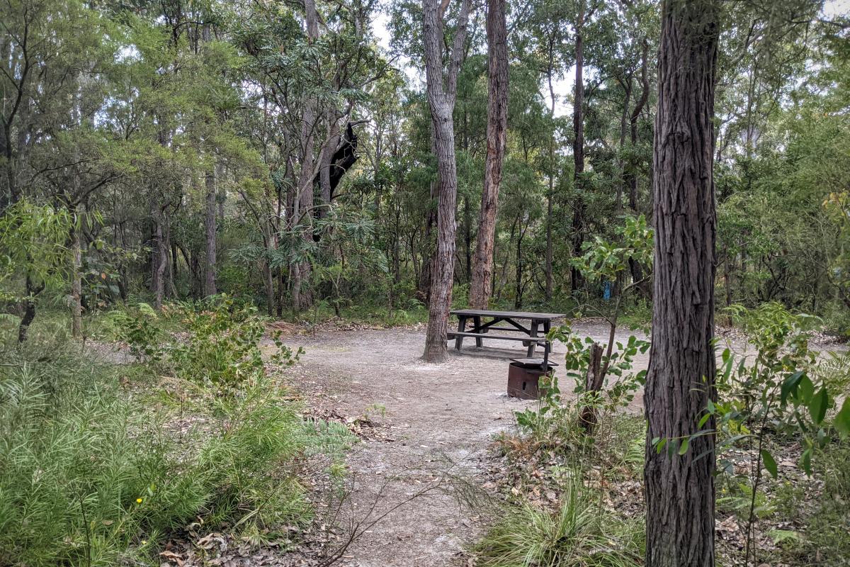 Campsite at Sues Bridge