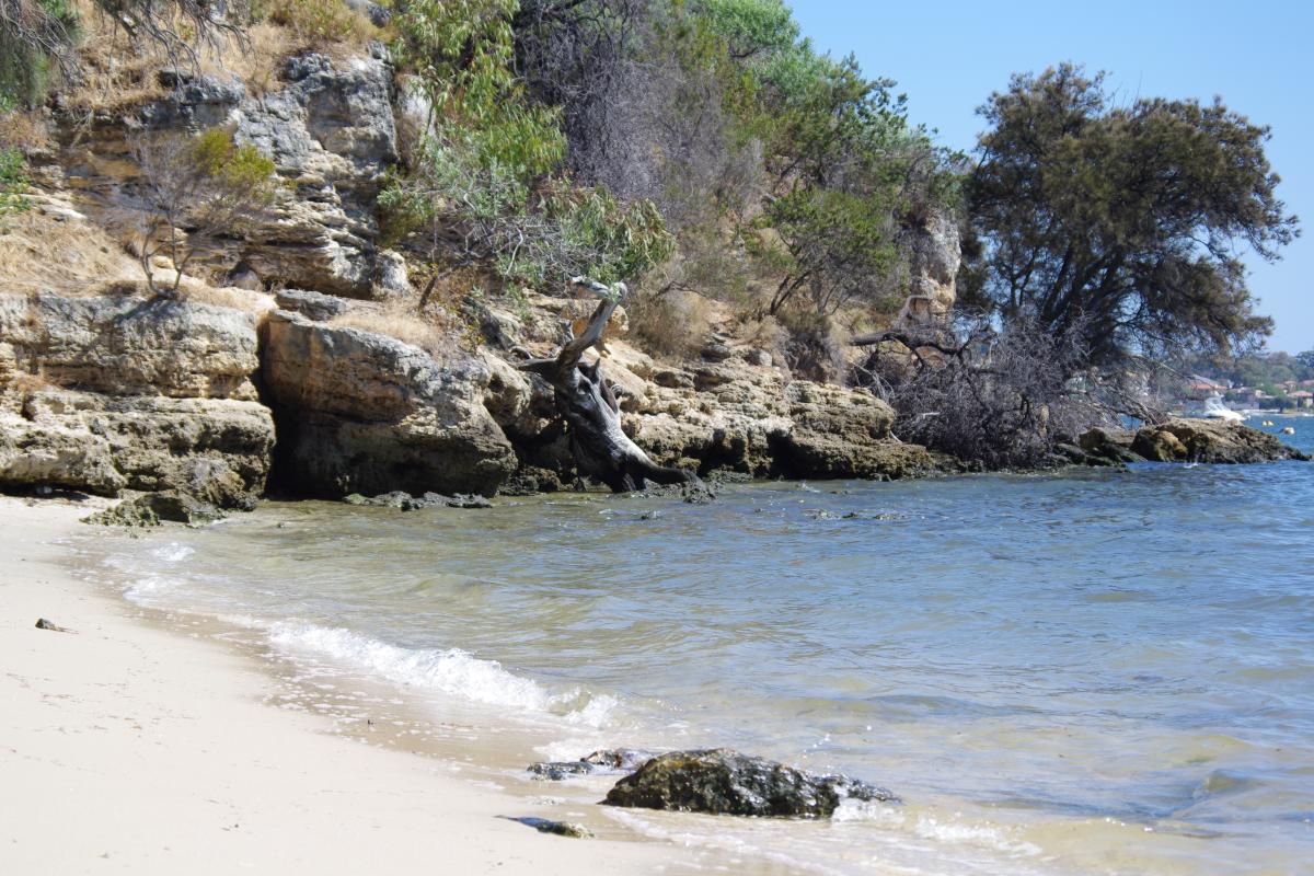 Beach on the Swan River