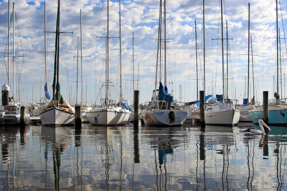 Sailboats at a yacht club