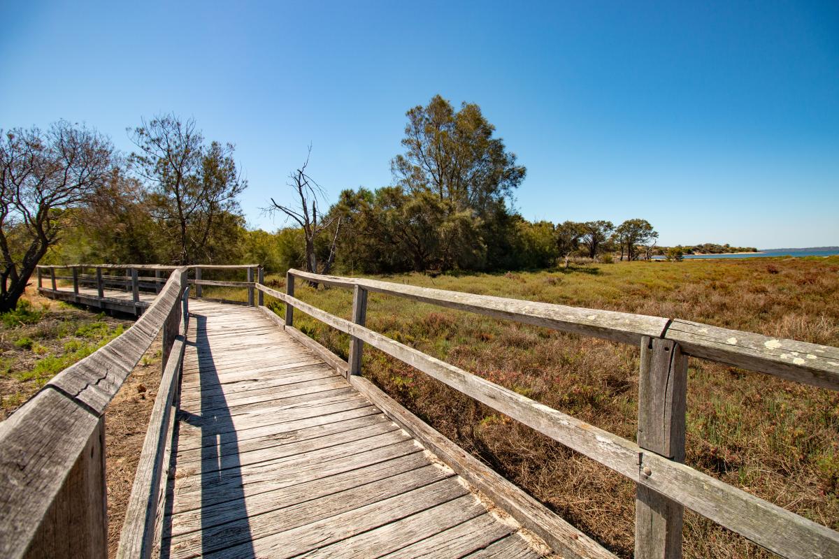 Boardwalk at The Cut boardwalk through the landscape at the cut