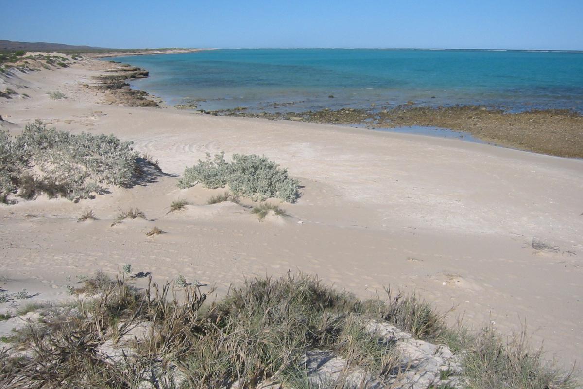 wide sandy bay at Trealla Beach