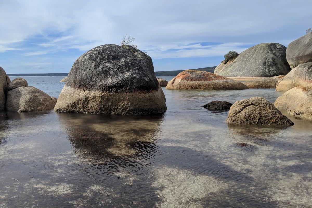 Seagrass and granite boulders in calm shallow water at Two Peoples Bay