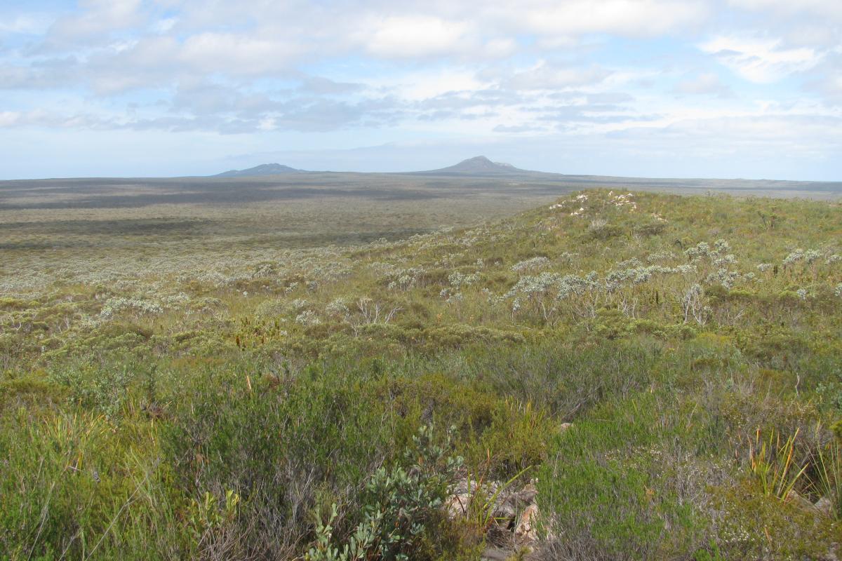 View of native landscape extending far out from Mount Maxwell