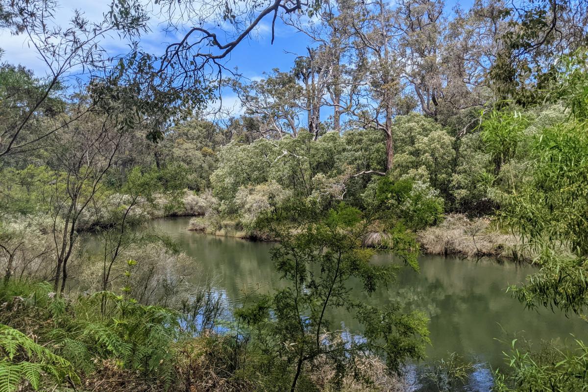 By the water at Warner Glen