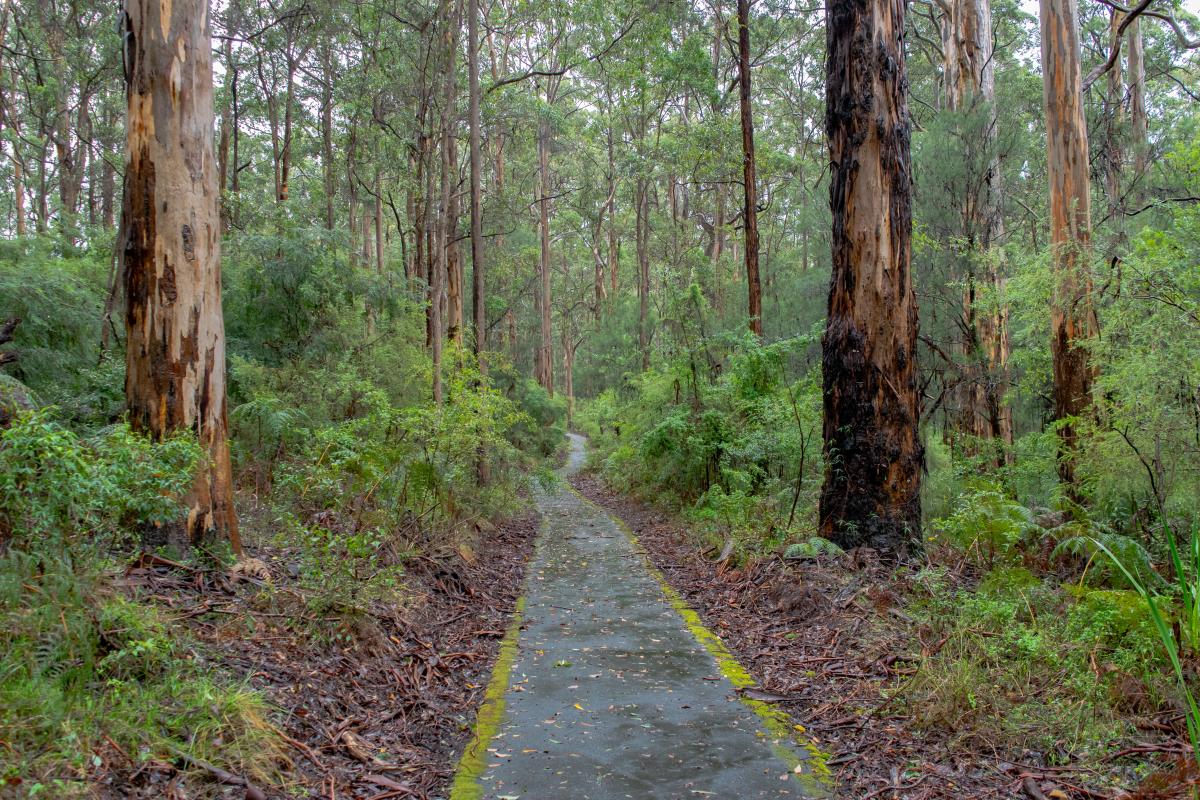 Warren, Bibbulmun Track