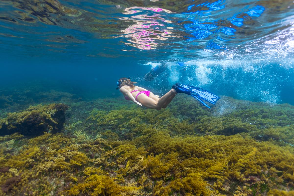 Snorkelling at Woody Island Underwater person swimming with snorkel and goggles over coral
