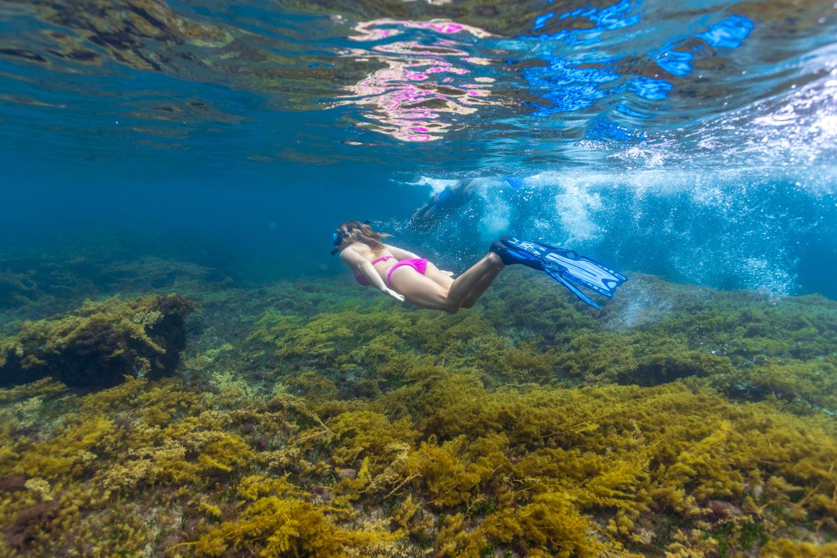 Underwater person swimming with snorkel and goggles over coral