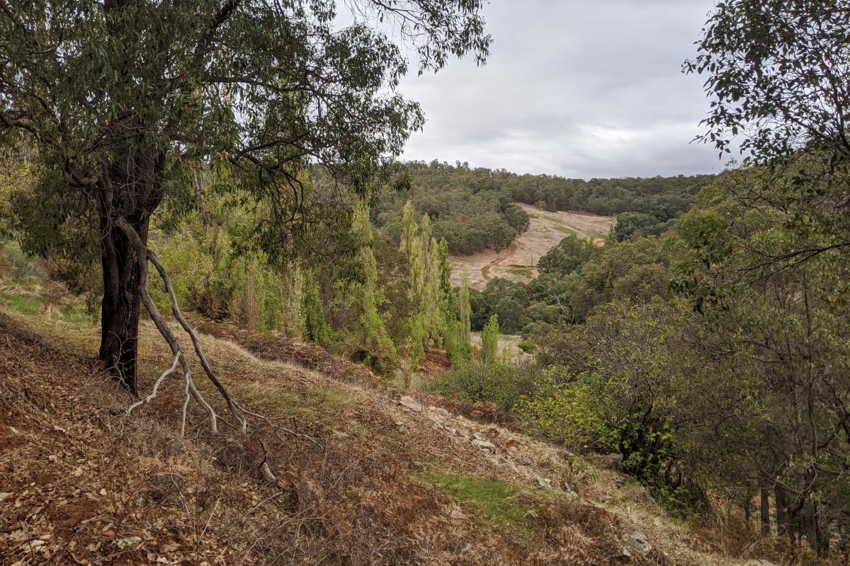 Wungong Regional Park