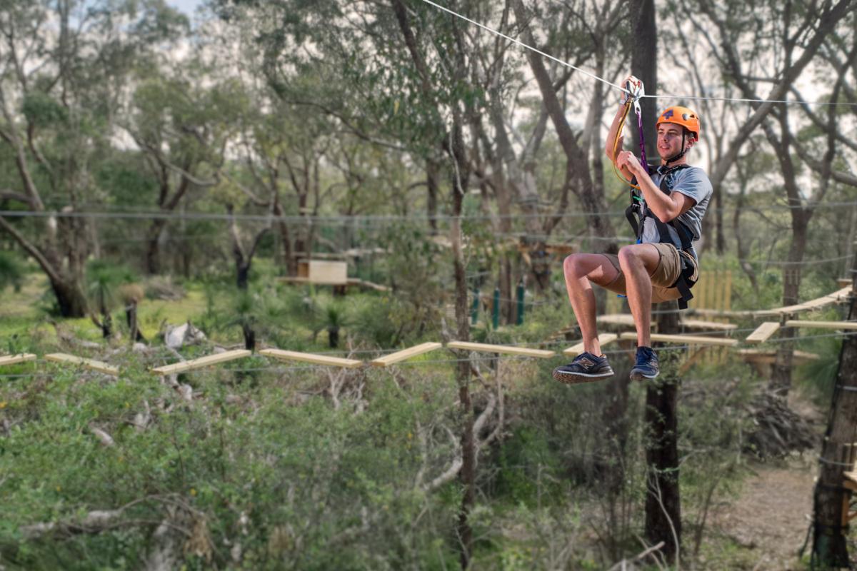 adventure climbing in the trees