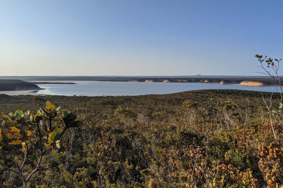 Fitzgerald Inlet viewed from along the Mamang Trail