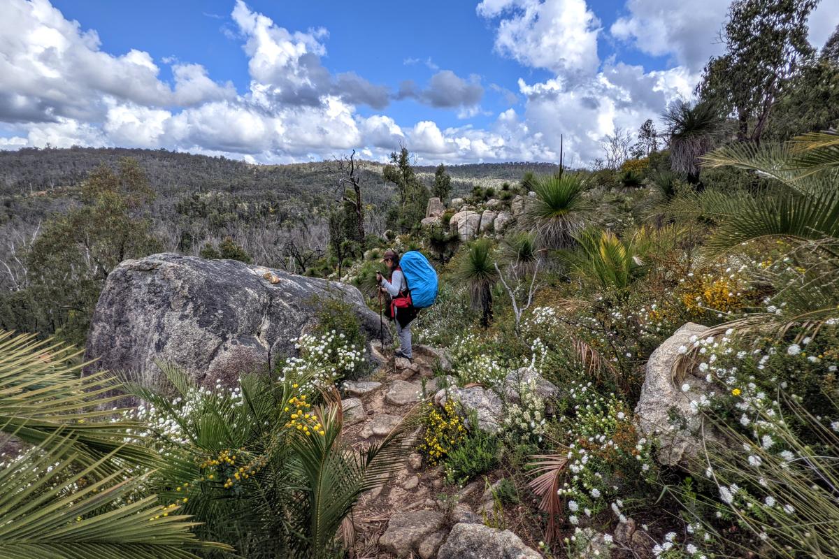 Walking the Bibbulmun Track in Helena National Park in the Perth Hills