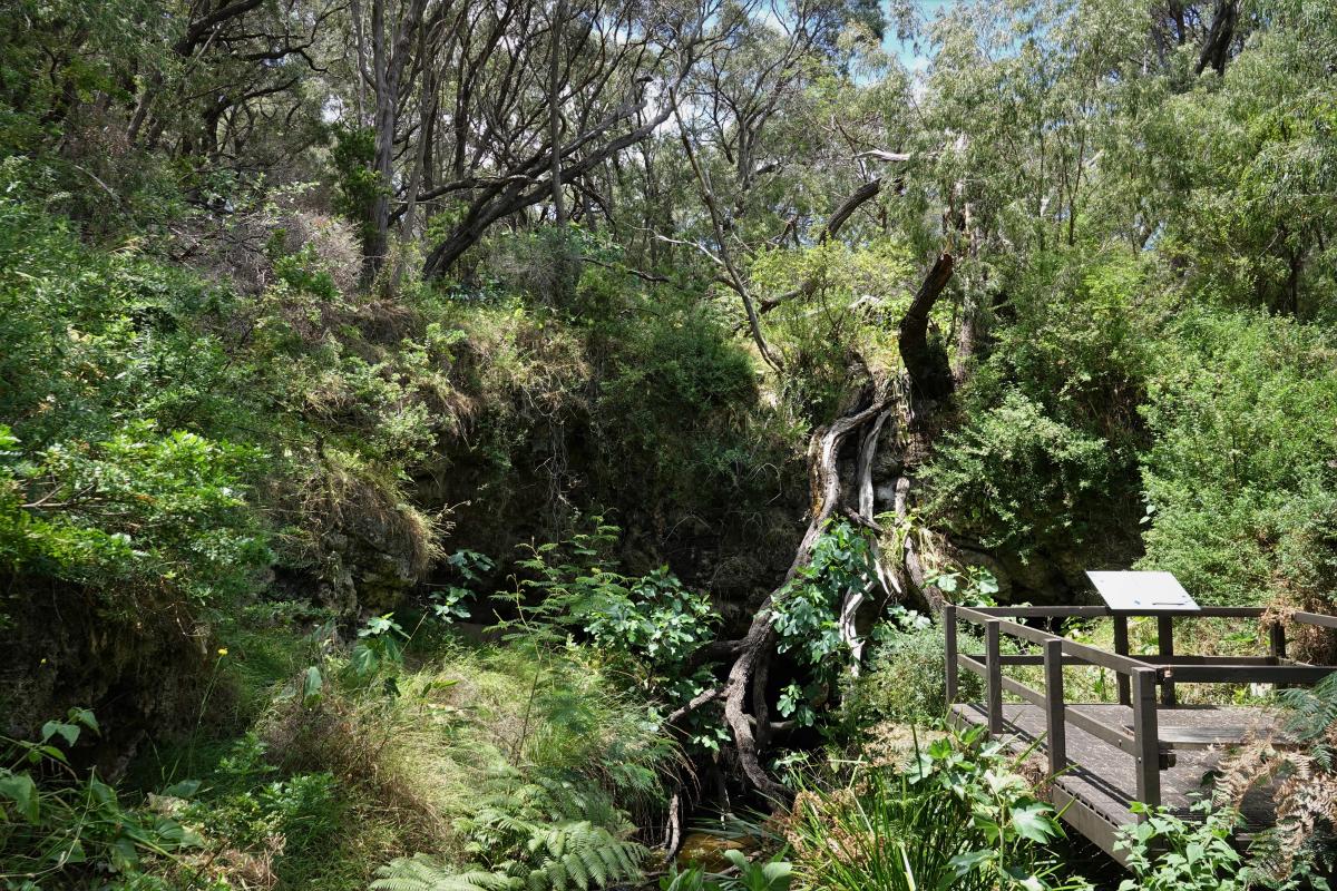 Meekadarabee near Ellensbrook House meekadarabee near Ellensbrook House