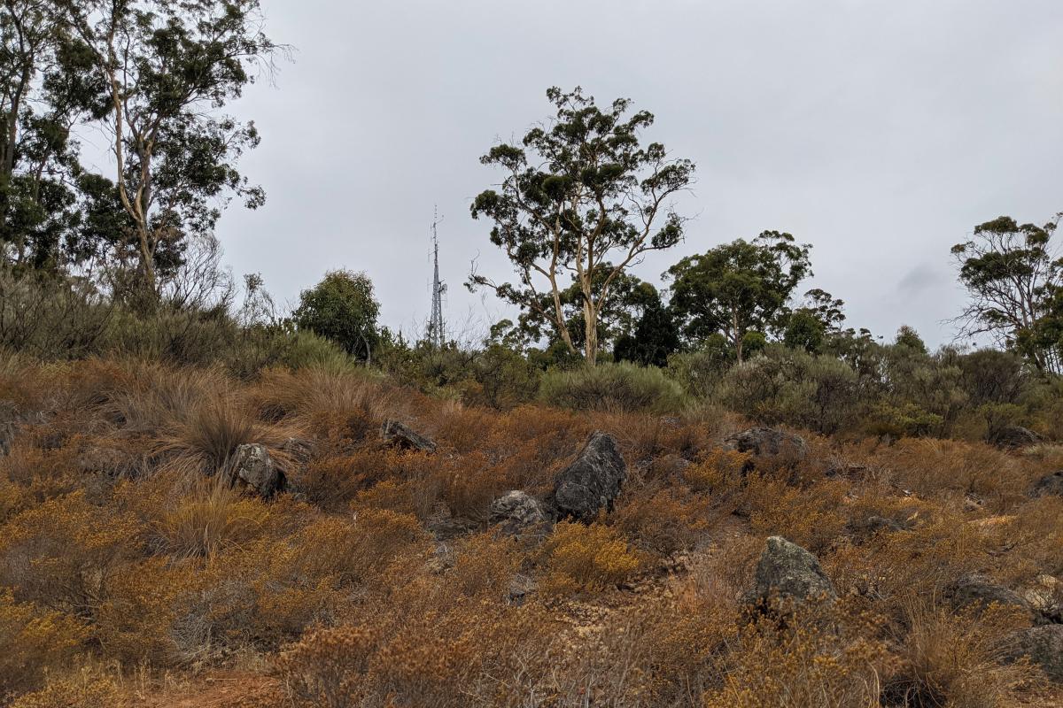 Mount Dale radio tower