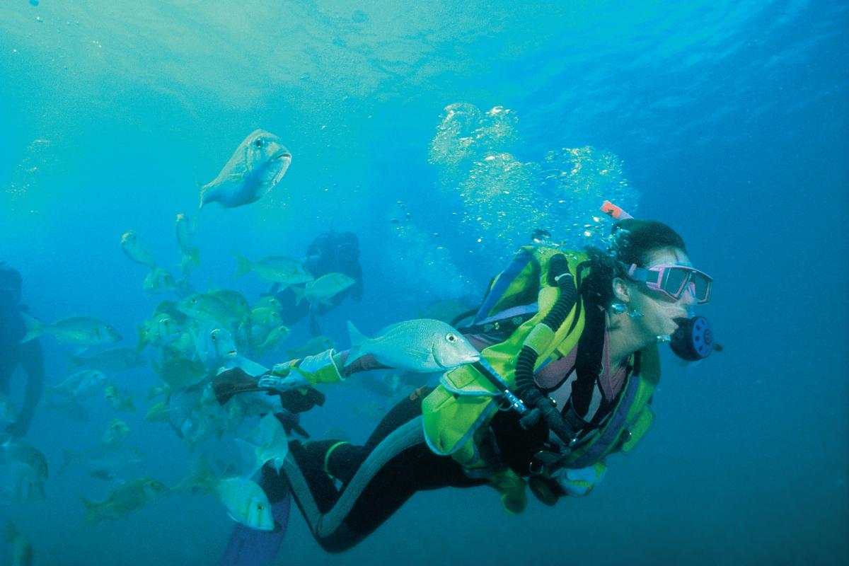 Scuba diving with fish at Ningaloo Marine Park. 