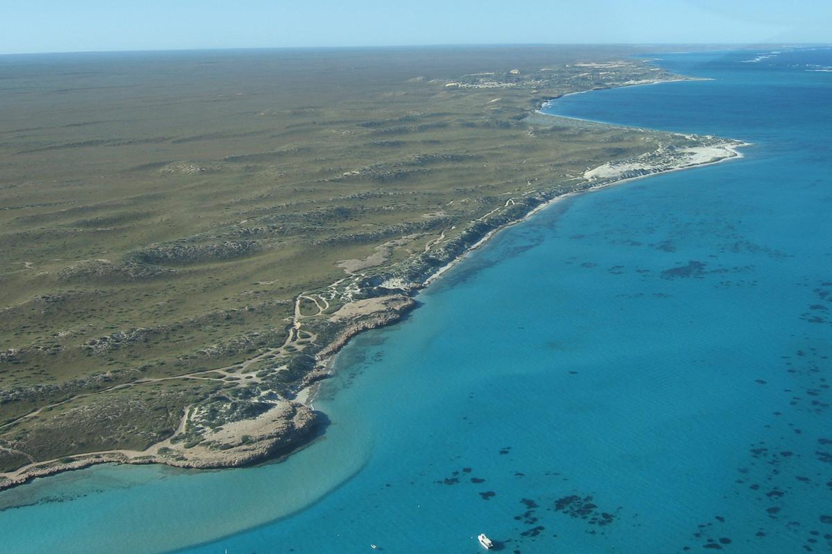 Aerial view of Cardabia Coast