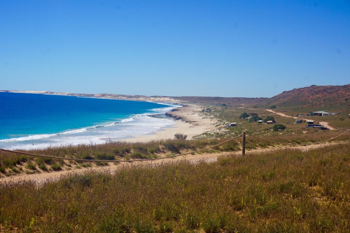 View of Quobba coastline.