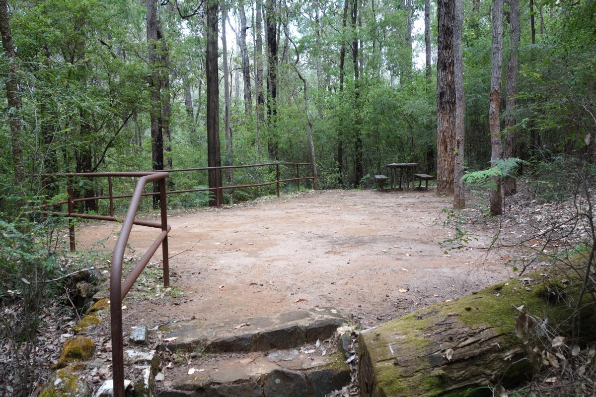 gathering area in the forest with a picnic table