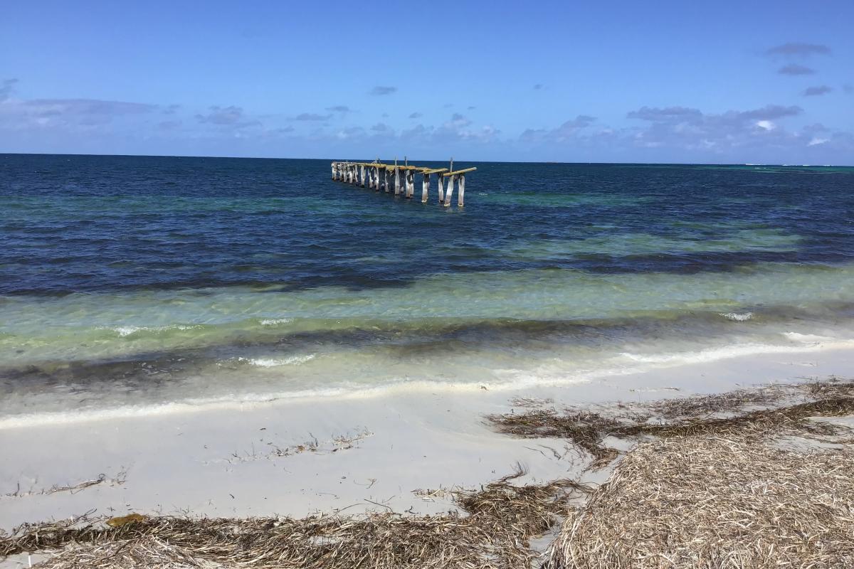 the remains of the jetty in the ocean at israelite bay