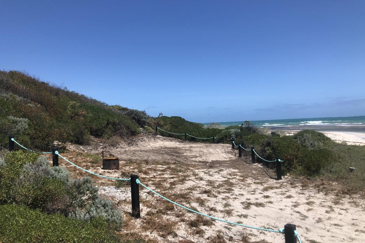 Campsite by the beach at Wanagarren Campground