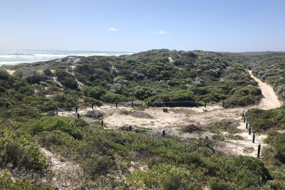 Campsite by the beach at Wanagarren Campground