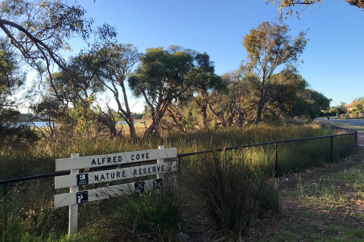 Native bushland at Alfred Cove Nature Reserve