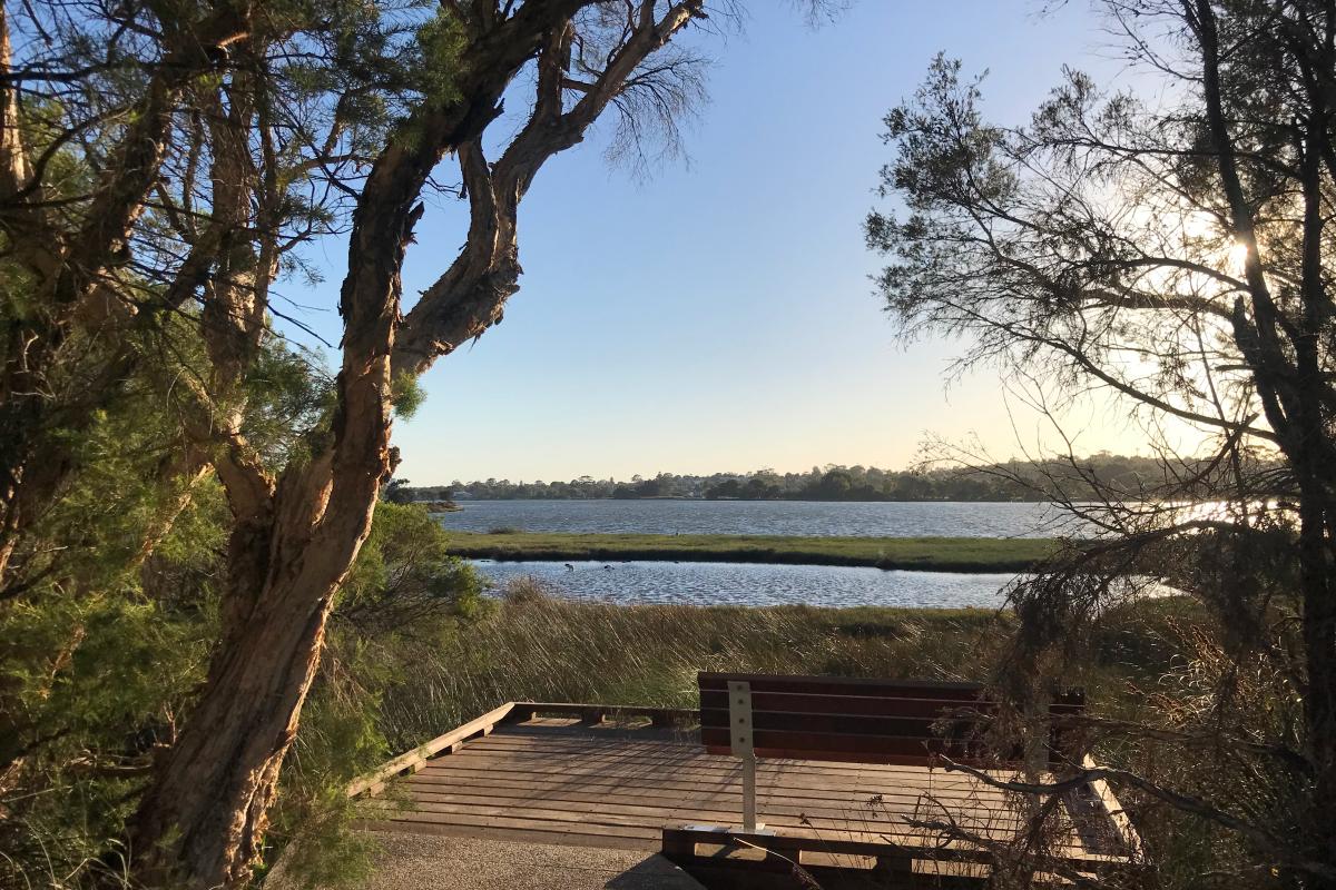 Wooden bird viewing platform over wetlands at Alfred Cove