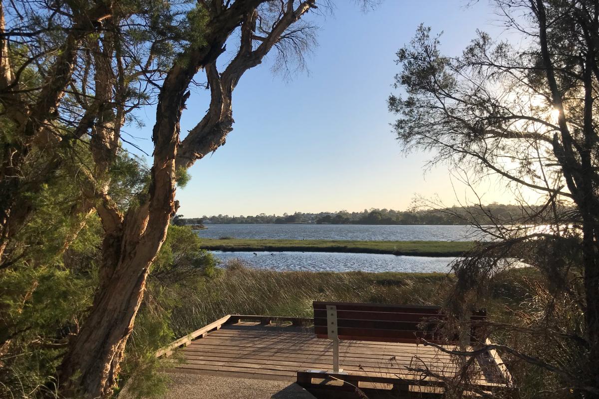 Wetland bird viewing platform Wooden bird viewing platform over wetlands at Alfred Cove
