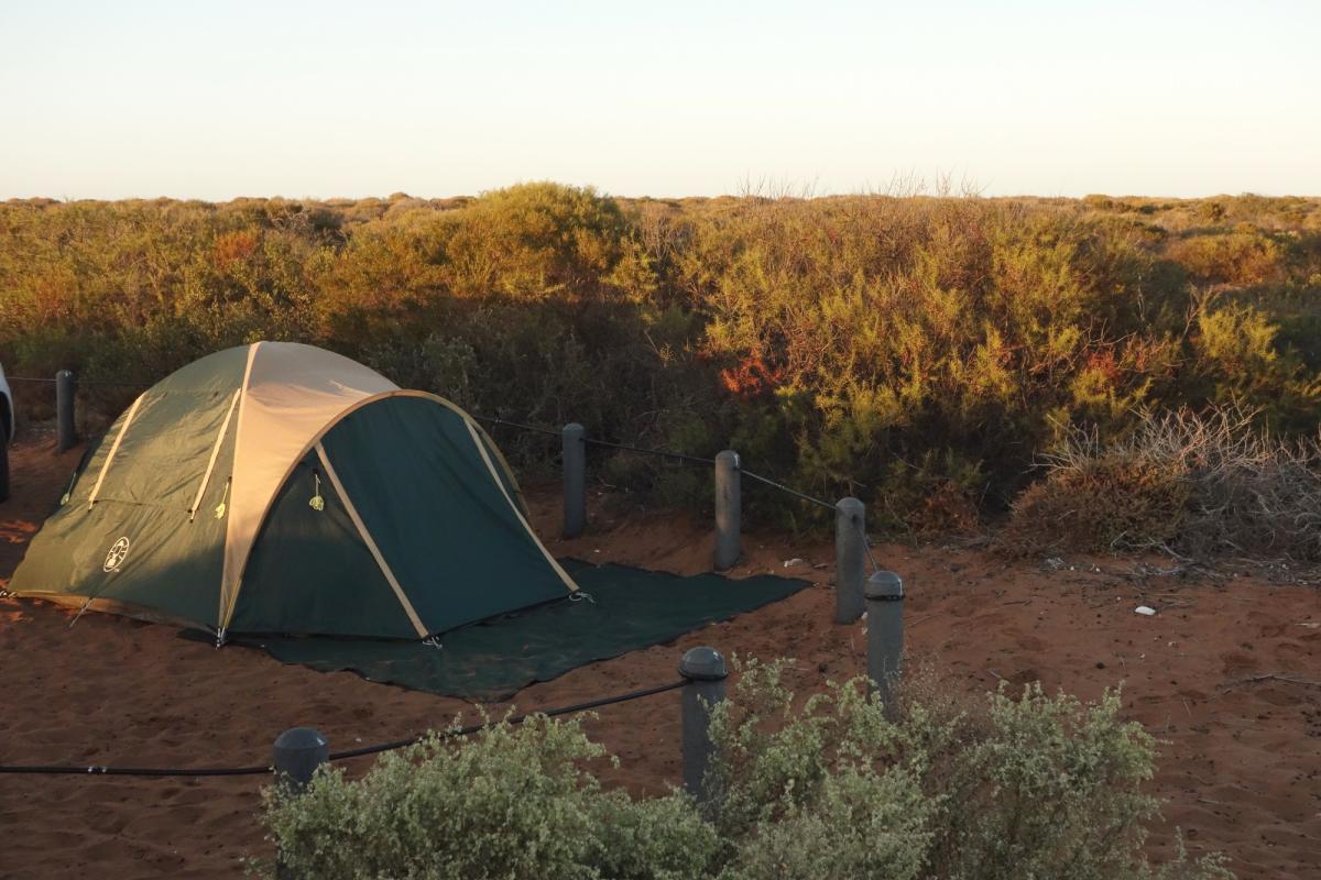 tent set up on the red soils at bottle bay campground