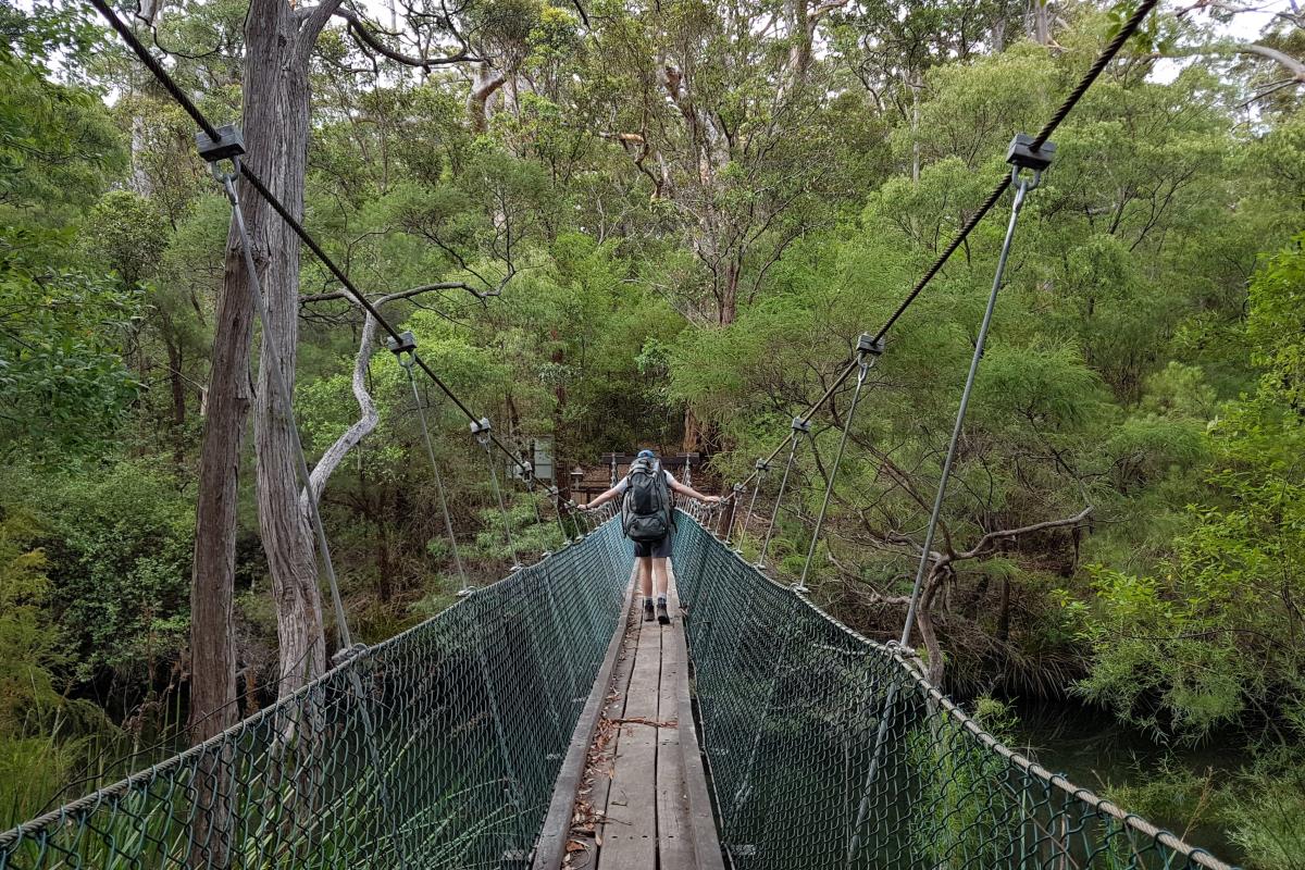 Deep River Suspension Bridge Deep River Suspension Bridge in Walpole-Nornalup National Park