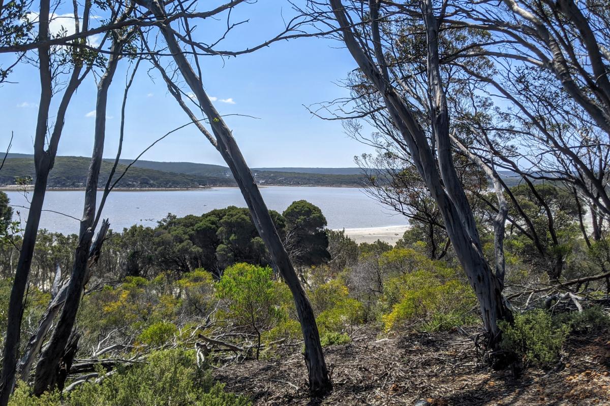 Hamersley Inlet viewed from the picnic area